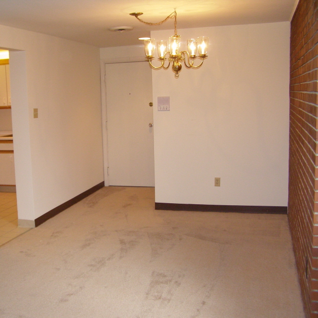 interior of Apt. 11